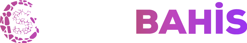 Stonebahis Giriş | Aktif Platform ve Çeşitli Oyunlar